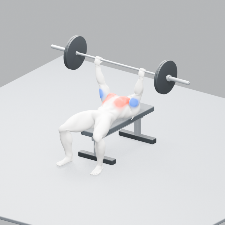 OmniLift 3D bench-press exercise visualization with highlighted muscle groups